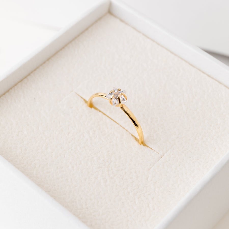 Anthea Ring Band in Gold with Zirconia